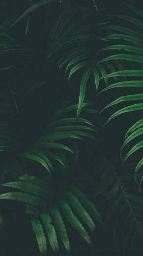 Awesome iPhone Or X Wallpaper Layerbag