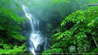 Lower Doyles River Falls Shenandoah National Park Virginia Wallpaper