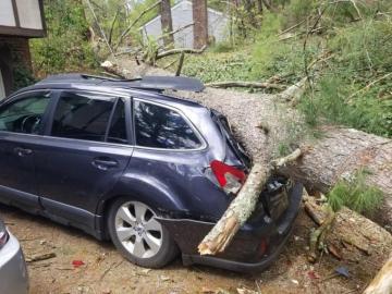 Severe Storms Spawned A Powerful Microburst Friday Night Nbc Boston