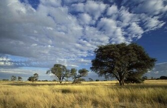 HD Desktop Wallpaper Widescreen For In High Quality