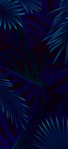 Vivo X23 Logo Phone Stock Wallpaper