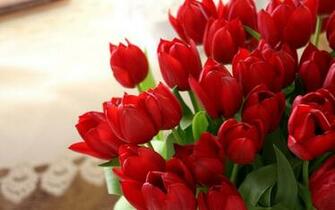 Wallpaper Red Tulips Desktop