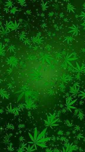 Marijuana Live Wallpaper Leaves Spin And Swirl Towards You