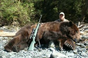 Wildlife Bears Hunting Wallpaper