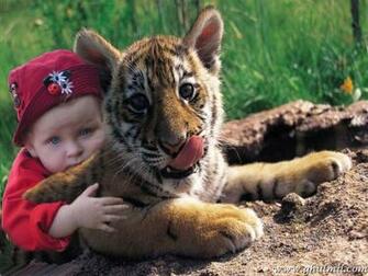 Most Beautiful Cute Baby Photos Image Wallpaper E Entertainment