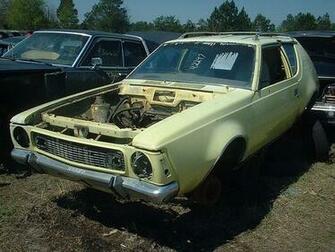 Rambler S In The Yard