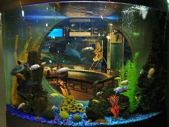 Aquarium Wallpaper Blast Of