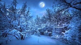 Forest Moon Night Snow Winter F Wallpaper Background