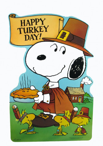 Top Peanuts Thanksgiving Wallpaper Full HD 4k To Use