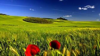 Nature Wallpaper HD
