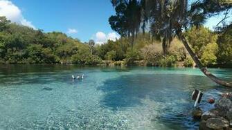 Botpost Silver Glen Spring Ocala National Forest Florida