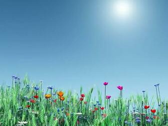 Christine O Donnell Spring Desktop Wallpaper