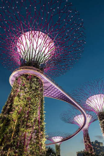 Singapore Pictures Image