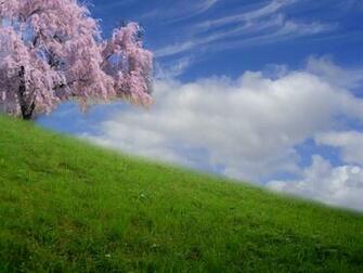 Beautiful Day Desktop Pc And Mac Wallpaper