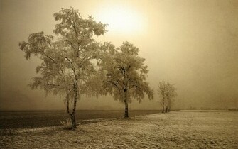 In Sepia Style X Nature Photography Miriadna