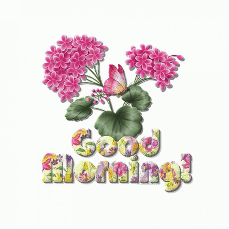 Good Morning Image