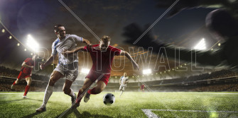 Playing Soccer Elegant Wall Mural Photowall