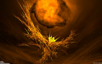 Phoenix Bird Background Wallpaper