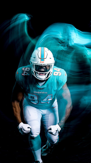 Dolphins Wallpaper Miami