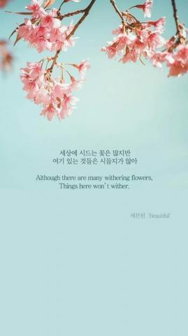 Svt Seventeen Lyrics Quotes Kpop HD