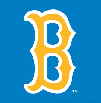 Ucla Bruins Alternate Logo Ncaa Division I U Z Chris