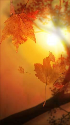 iPhone Wallpaper Fall Se