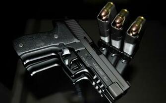 Sig Sauer Gun Ammo P226