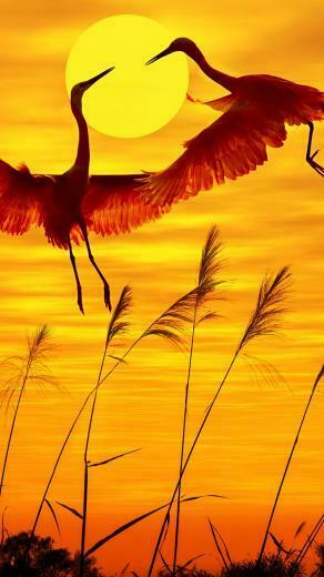 HD Lock Screen The Beach At Sunset iPhone Wallpaper