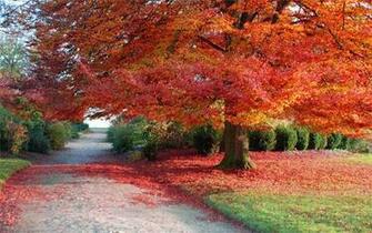 Spectacular Autumn Wallpaper For Your Desktop Blueblots