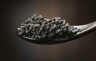 Wallpaper Macro Spoon Black Caviar Dumb Delicious Image