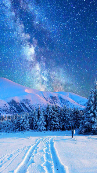 Winter iPhone Wallpaper