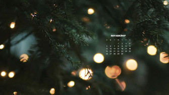 November Wallpaper Bies For Desktop Phones