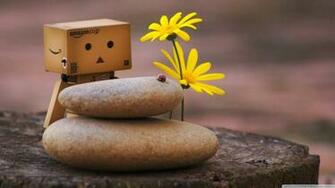 Photo Cute Danbo Wallpaper Full HD Gallery