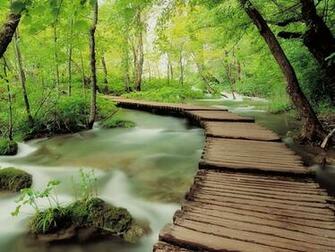 Nature Trees Forests Woods Long Exposure Rivers Wallpaper