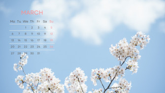 And Customizable Creative Desktop Wallpaper