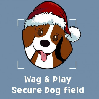 Wag Play Secure Dog Field