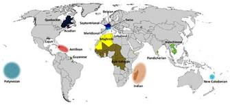 French Word Section Image Search Results