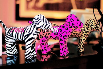 Pink Dogs Love Victoria Secret