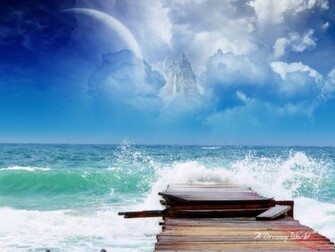 Birds Creatures Wild Life Sea Side Beautiful Cool Wallpaper