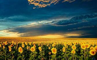 Vk Ukraine Wallpaper Px 4usky
