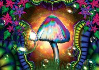 Details About Magic Mushrooms Trippy Digital Poster Art Print Amk481
