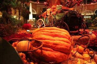 Thanksgiving Scenes Wallpaper