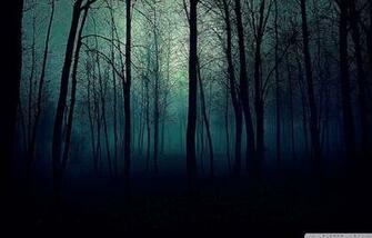 Dark Forest HD Desktop Wallpaper High Definition Fullscreen