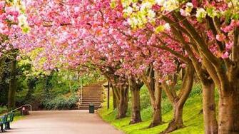 Countdown To Spring In Desktop Wallpaper