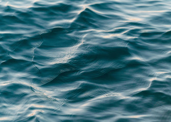 Placid Sea Wallpaper