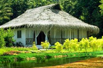 HD Nature Wallpaper For Laptop Pc Desktop Background