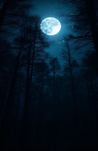 Dark Forest With Moon Wallpaper