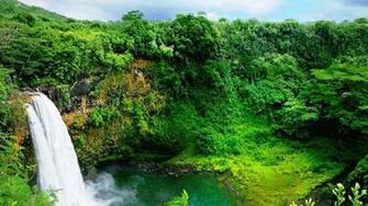 Nature Waterfall Forest Wallpaper Gardening Kauai