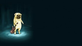 Background Humor Funny Wtf Wallpaper Pictures