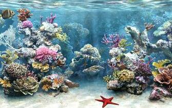 Windows Wallpaper HD Sims3 Wallpaper03 Jpg Pretty Fish